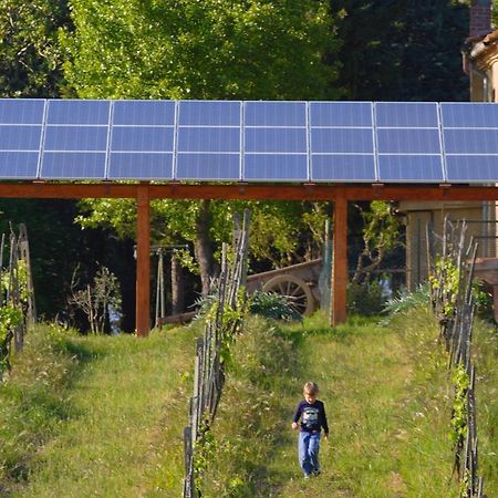 Вілла Agriturismo Le Volpaie Сан-Джиміньяно Екстер'єр фото
